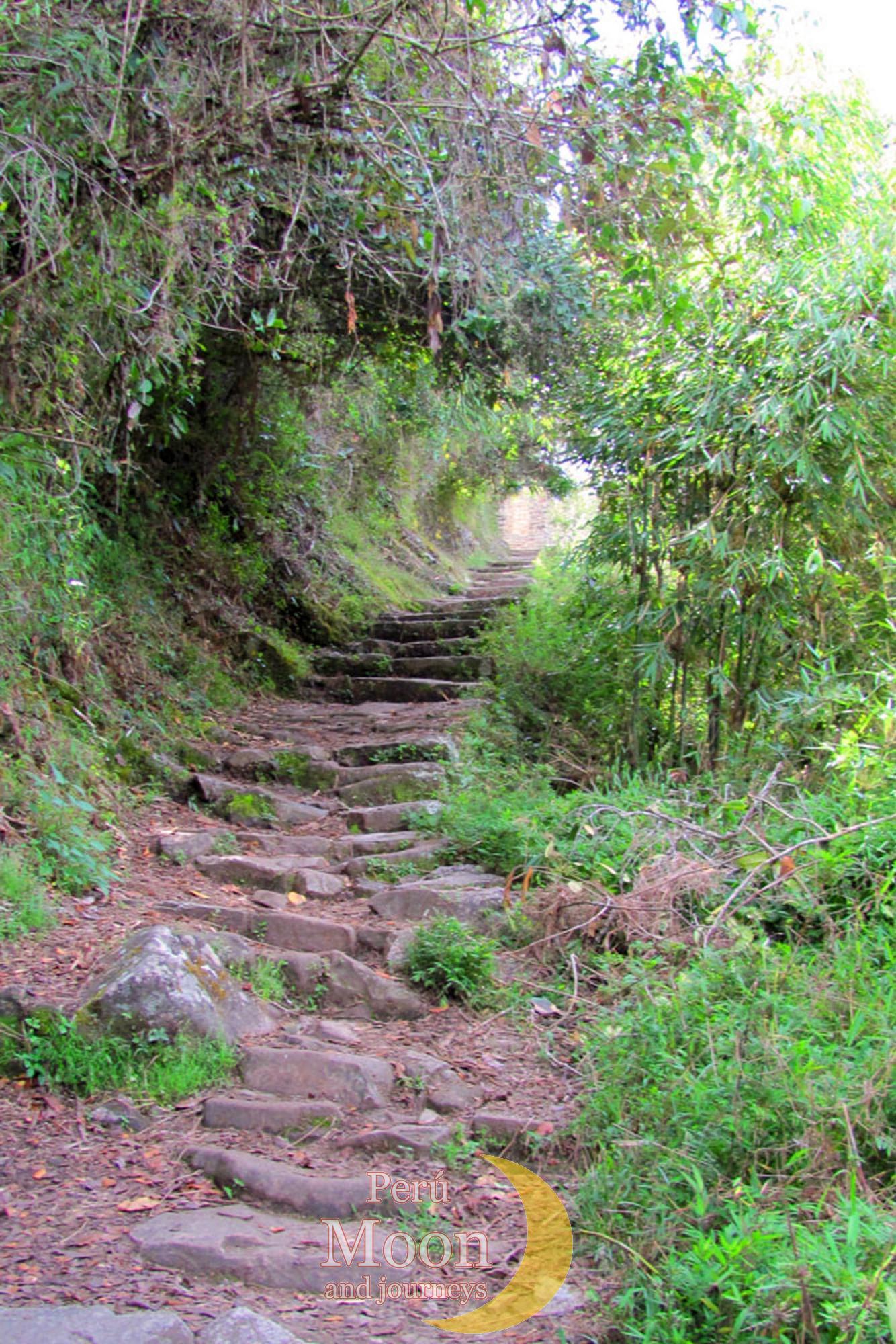 The Inca Trail 8
